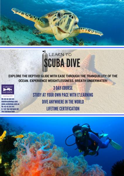LEARN TO SCUBA DIVE