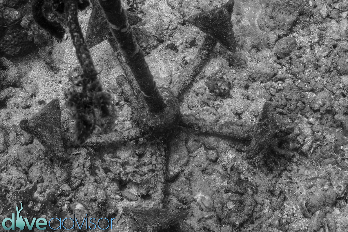 Sometimes things like old anchors frurstrate me a little since they intrude on the natural topography, but overtime I had noticed that soon enough, abandoned objects like old crab nets or anchors eventually become a kind of foundation for coral life. In a way such objects become a part of the vibe of the dive site.