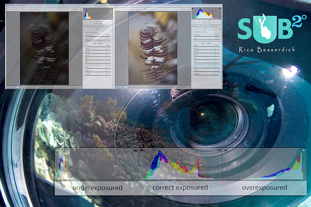 Postproduction of uw images : Exposure basics