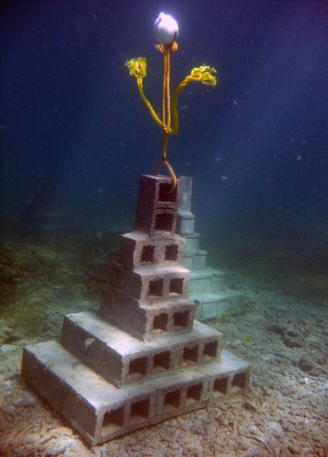 The pyramid design was used because it creates a stable platform in shallow water. Fish, corals, sponges and other types of marine life are expected to quickly propagate the artificial reef.