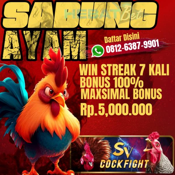 SABUNG AYAM | BONUS WIN 100%