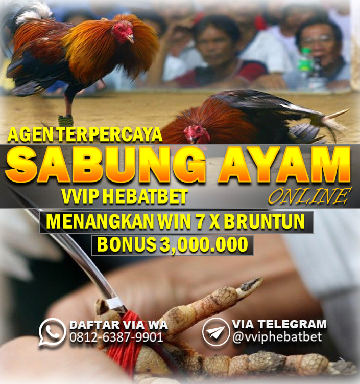 VVIPHEBATBET SALAH SATU SITUS SABUNG AYAM TERBESAR DI INDONESIA DENGAN TOTAL PEMAIN YANG HAMPIR 1 JUTA MEMBER KARNA HEBATBET ADALAH AGEN JUDI TERPERCAYA NO 1 DI INDONESIA
UNTUK INFO LEBIH LANJUT HUBUNGIN NO YANG TERSEDIA DI BAWAH INI :)
WA : +62 812-6387-9901
LINK : https://agenhebatbet.online/