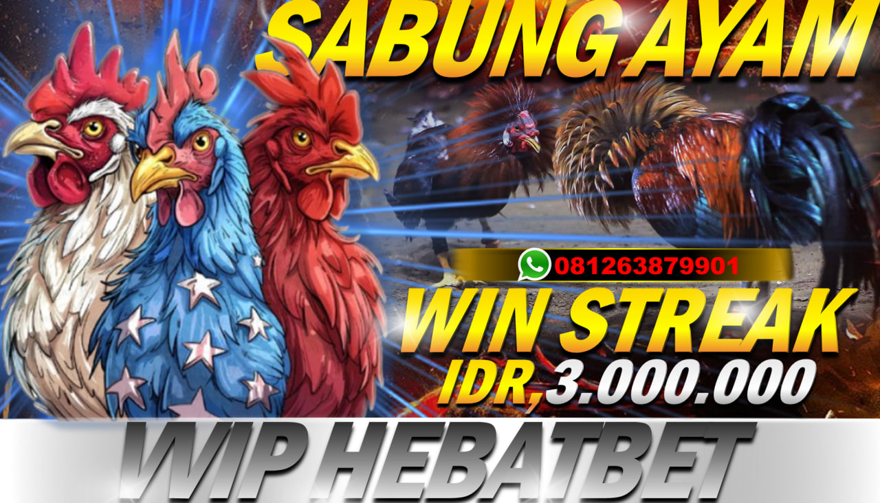 SABUNG AYAM | VVIP HEBATBET BONUS WIN STREAK IDR 3.000.000 UNTUK INFO LEBIH LANJUT HUBUNGIN NO YANG TERSEDIA DI BAWAH INI :) WA : +62 812-6387-9901 LINK : https://agenhebatbet.online