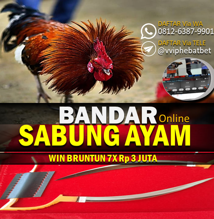 SABUNG AYAM BONUS WIN 7X WIN BRUNTUN ARENA 1234567 IDR 3.000.000 WIN BEBAS ARENA 356978 IDR 1.000.000 INGIN BERGABUNG HUB NO INI  WA : +62 812-6387-9901

LINK : https://agenhebatbet.online

#VVIPHEBATBET #bandarsabungayam #abonuswin7x