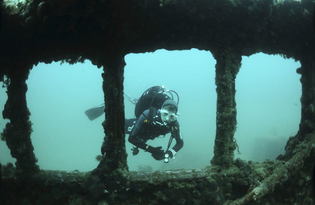 Many species of sea flora and fauna inhabit the wreck; it has become an artificial reef and divers can observe various species of corals, sponges and sea squirts.