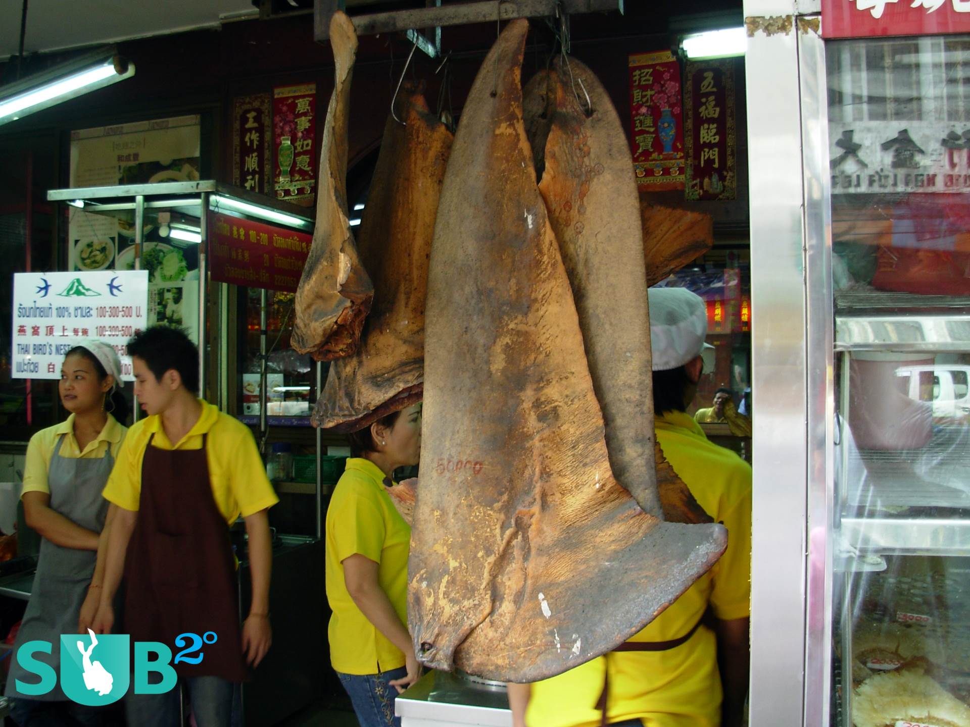 Shark fins sold in a Bangkok market, Thailand