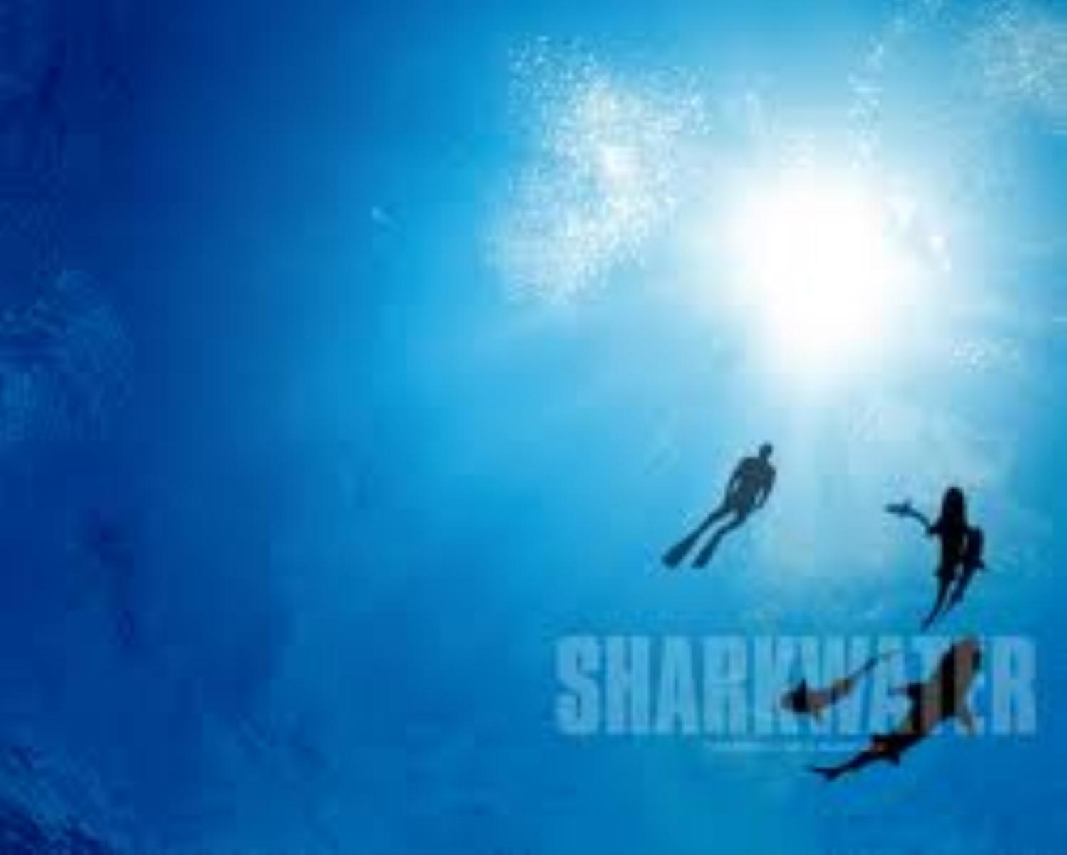 Sharkwater is a 2006 documentary film directed by Rob Stewart