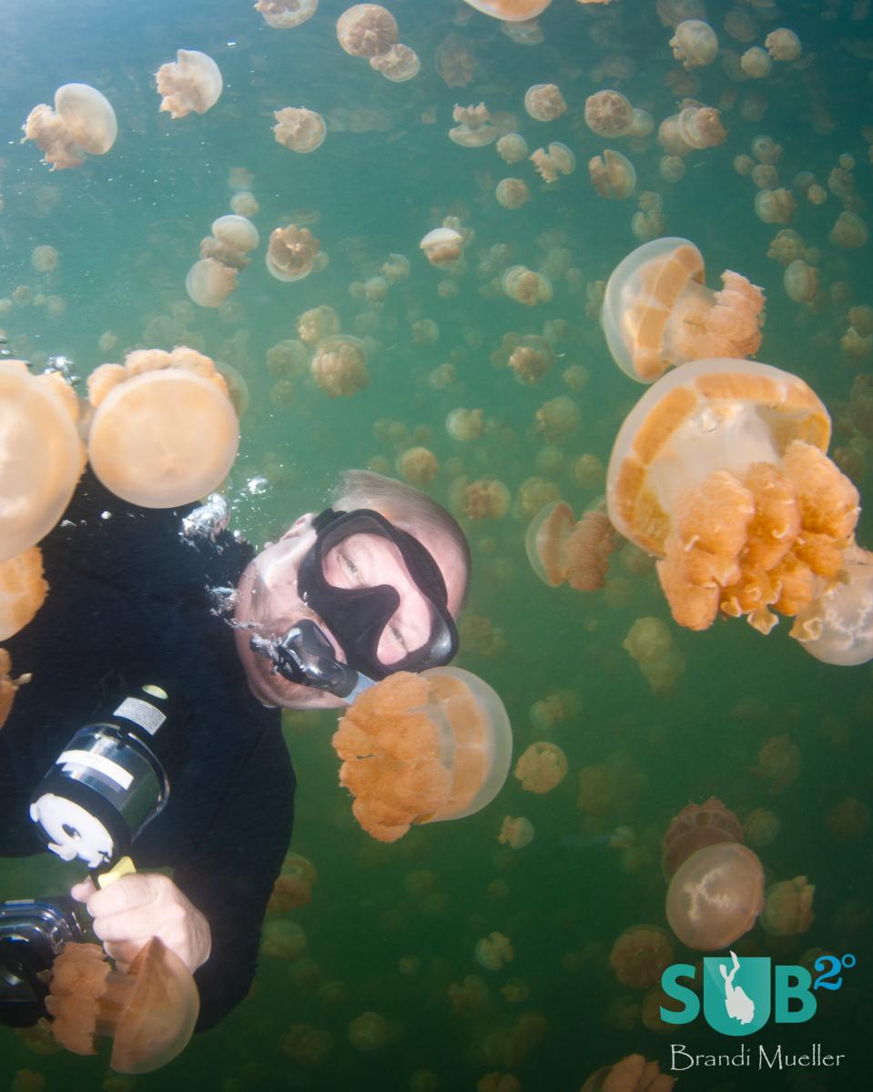 Scuba diving is not allowed in Jellyfish Lake as bubbles can collect in the jellyfish bells and cause damage to the jellyfish. Here a snorkeler poses with the jellyfish.  