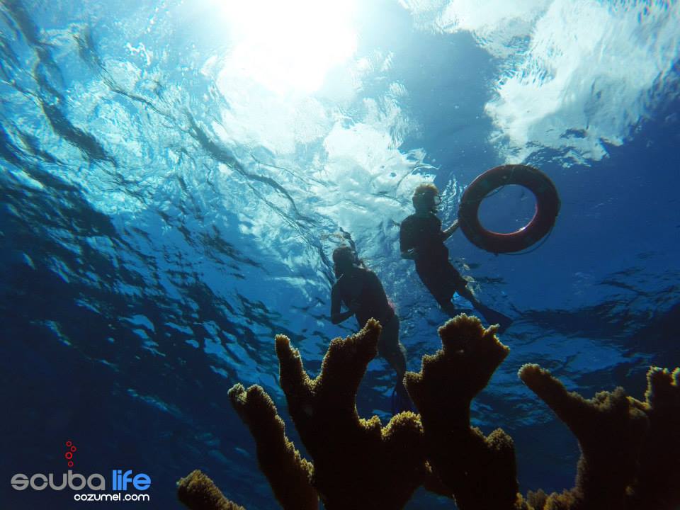 Snorkeling Cozumel with Scuba Life Cozumel