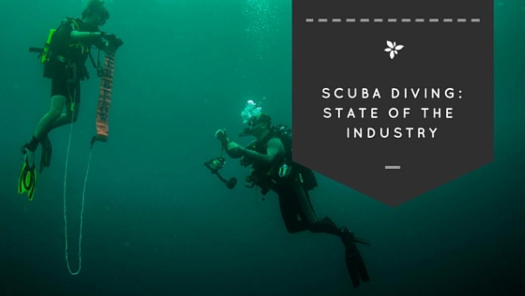 State of the Scuba Diving Industry