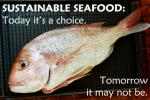 Sustainable-Seafood