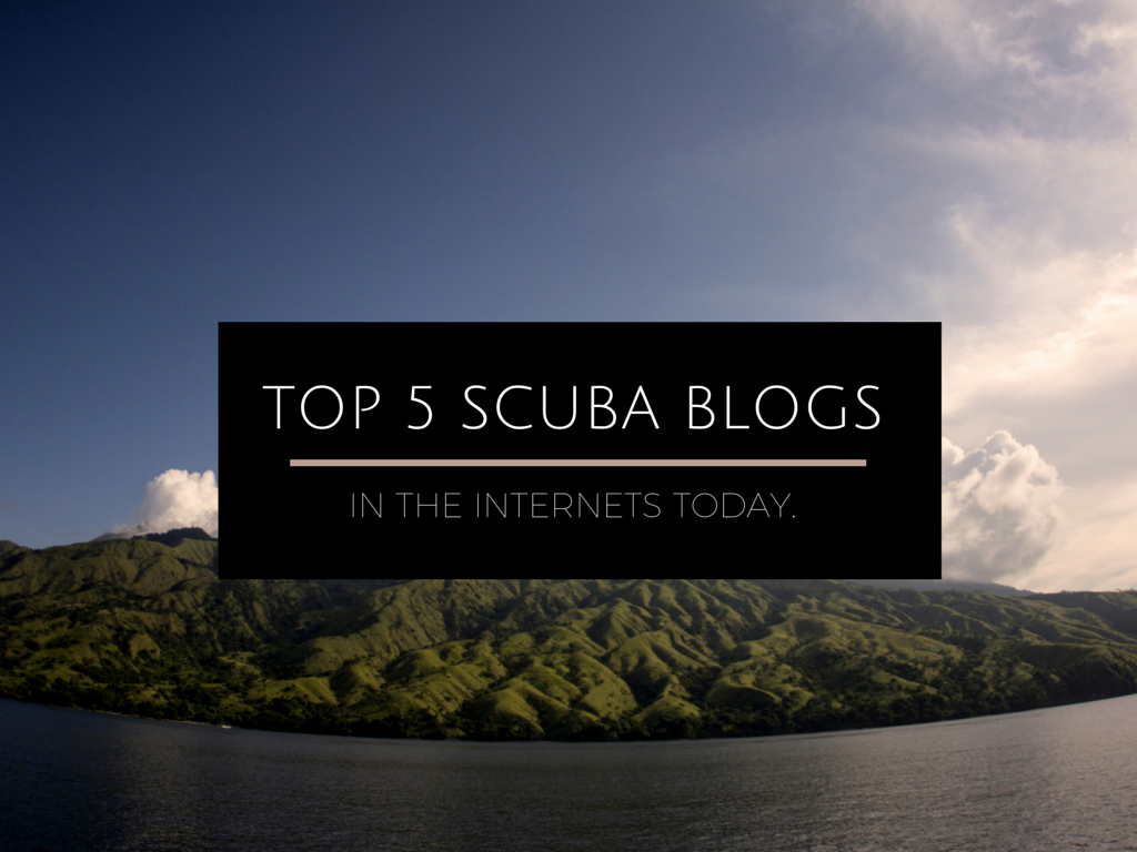 Read my article over at diveadvisor.com/sub2o/top-5-scuba-blogs