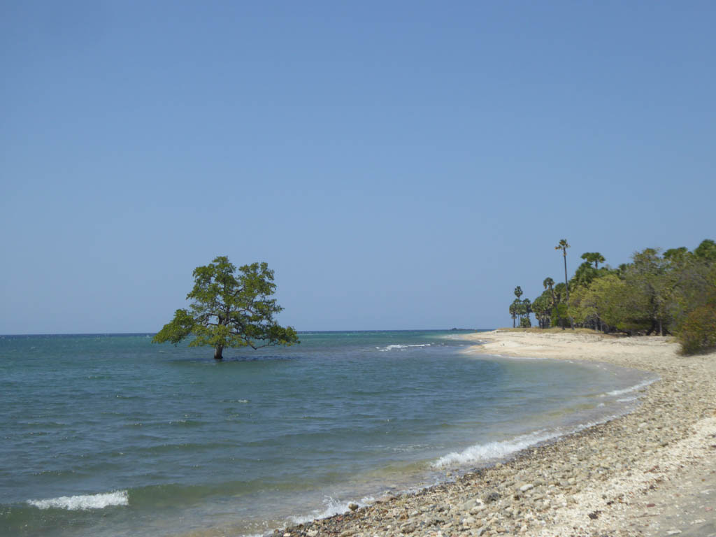 Coast in East Timor