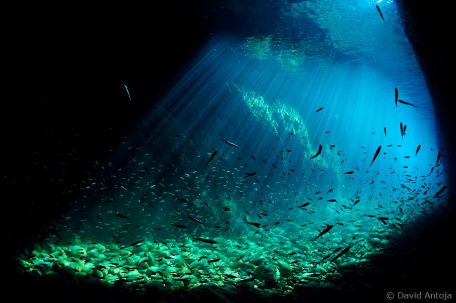 Underwater light