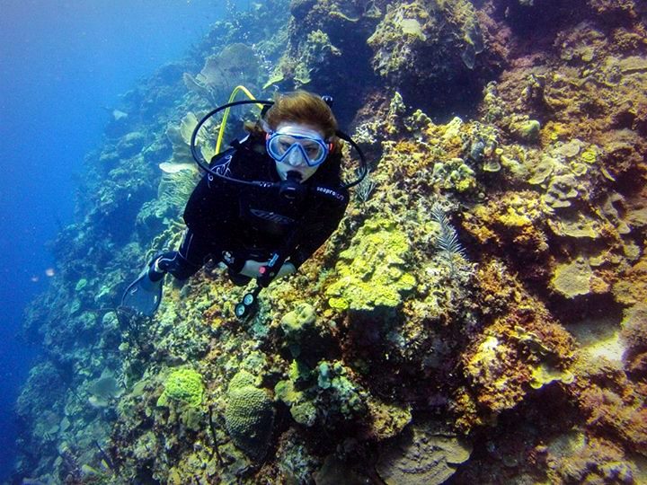 Wall Diving at Catalina Island, Dominican Republic