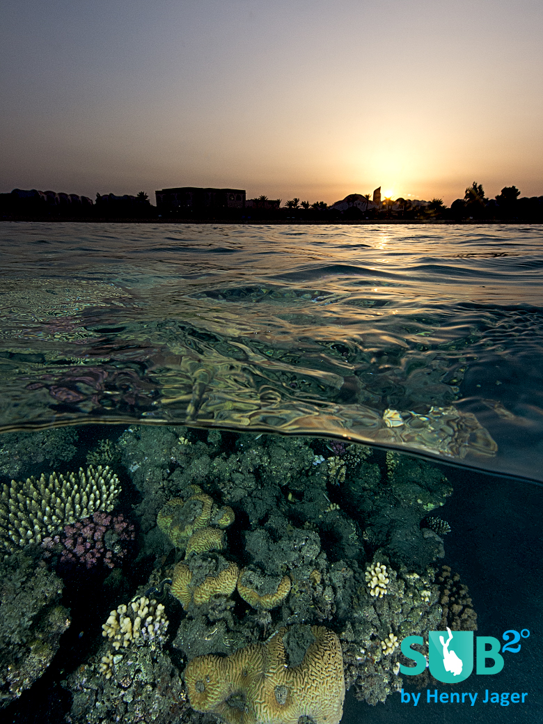 The golden hour: Just before the sun goes down the light starts changing. Time to take some pictures at the Wadi gimal house reef.