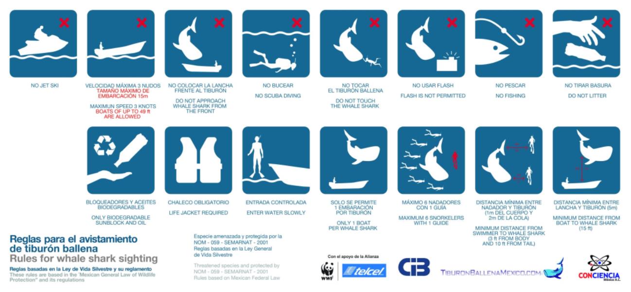 Whale shark viewing guidelines